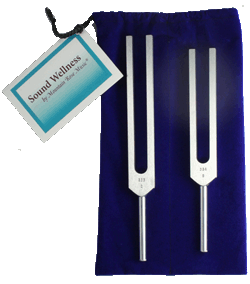 Perfect 5th tuning forks